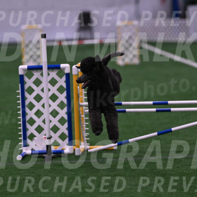 Finn-Madison-Canton-05464