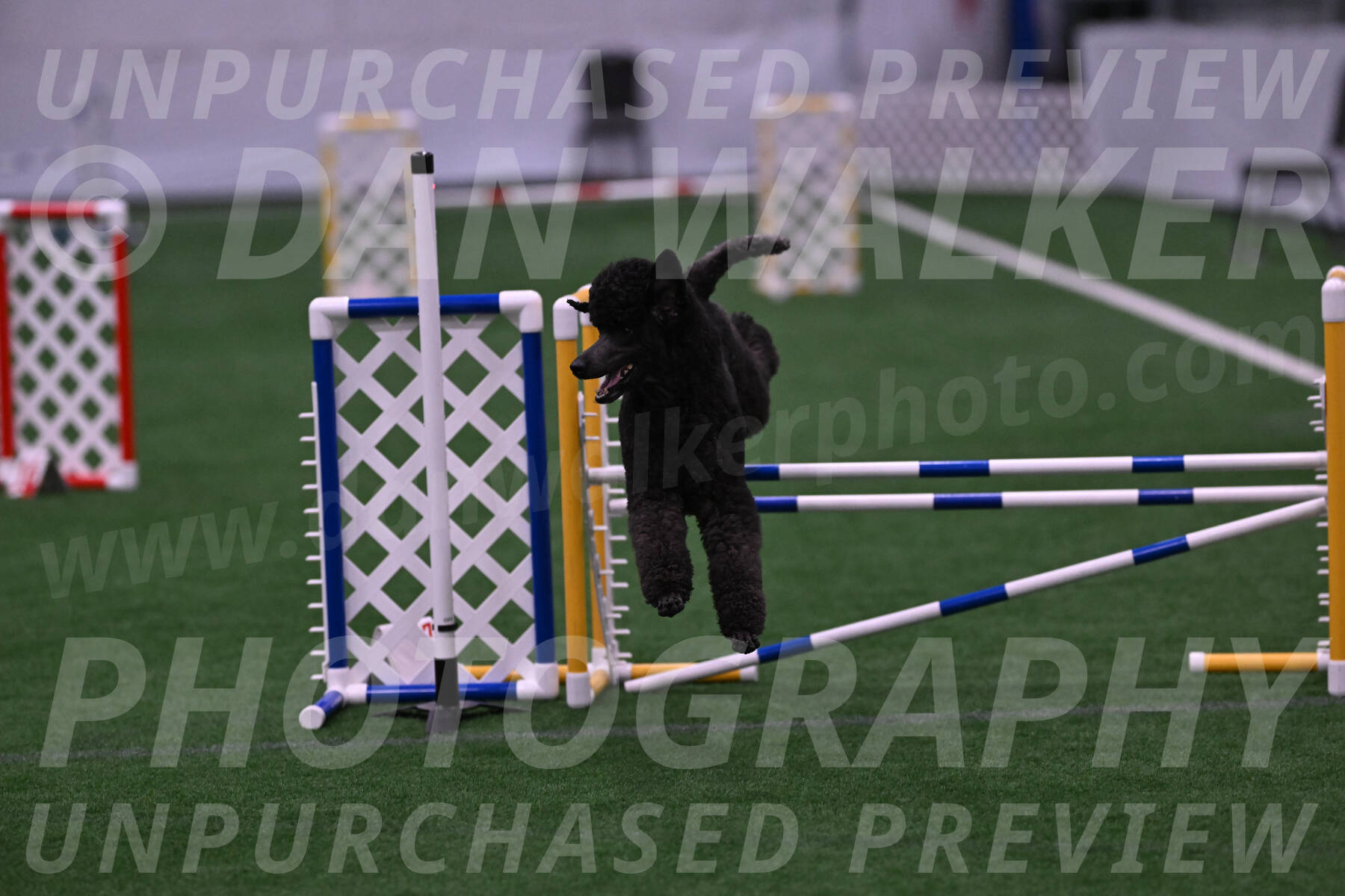 Finn-Madison-Canton-05464