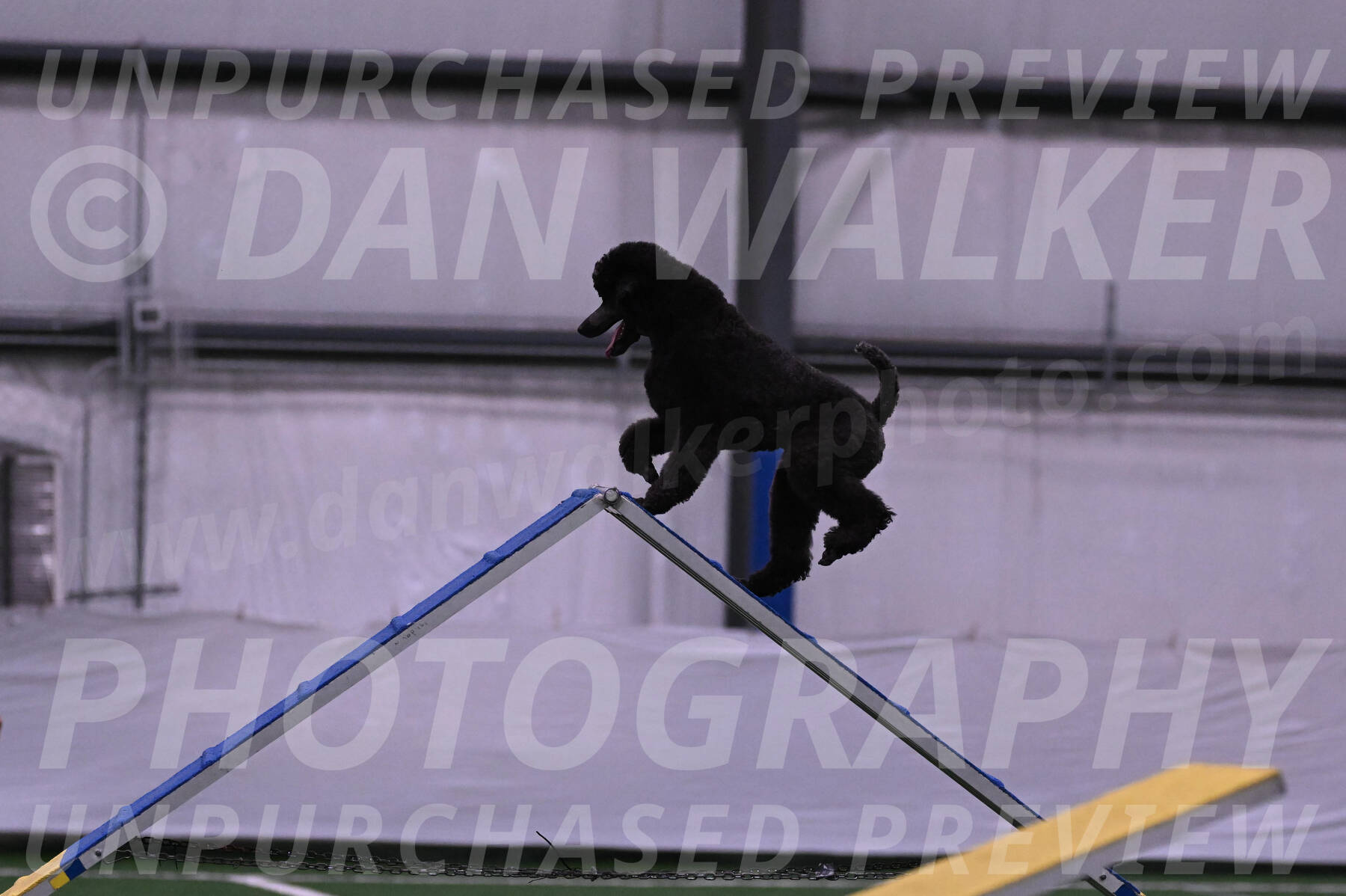 Finn-Madison-Canton-05465