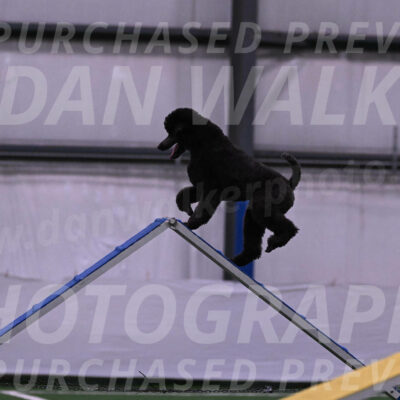 Finn-Madison-Canton-05465