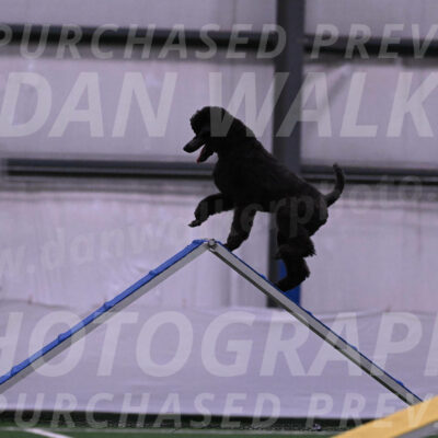 Finn-Madison-Canton-05466