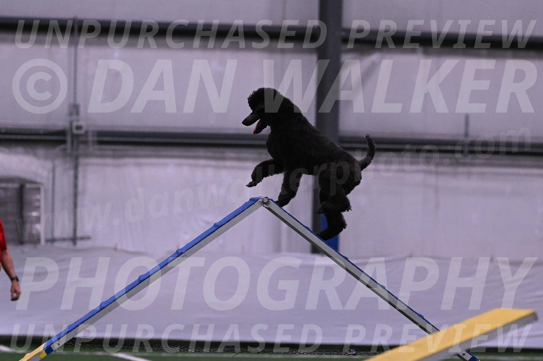 Finn-Madison-Canton-05466