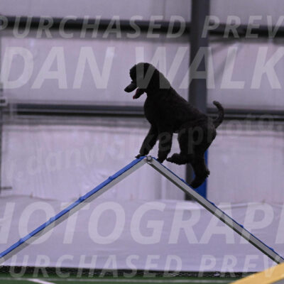 Finn-Madison-Canton-05467