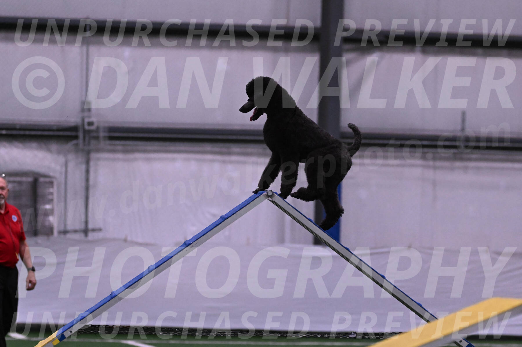 Finn-Madison-Canton-05467