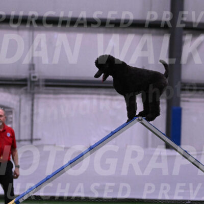 Finn-Madison-Canton-05472