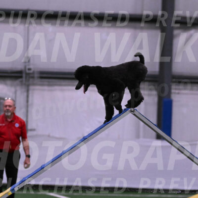 Finn-Madison-Canton-05475