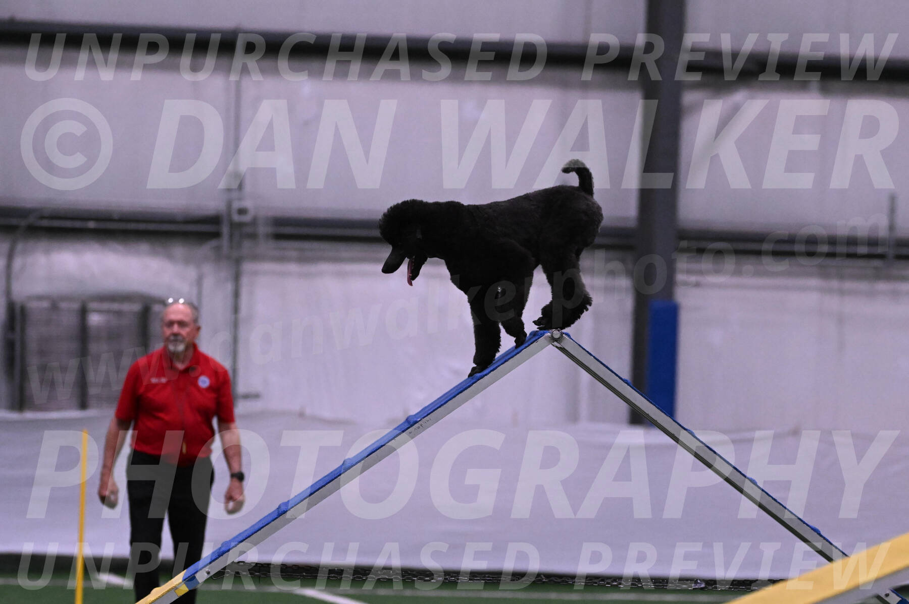 Finn-Madison-Canton-05475