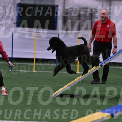 Finn-Madison-Canton-05476