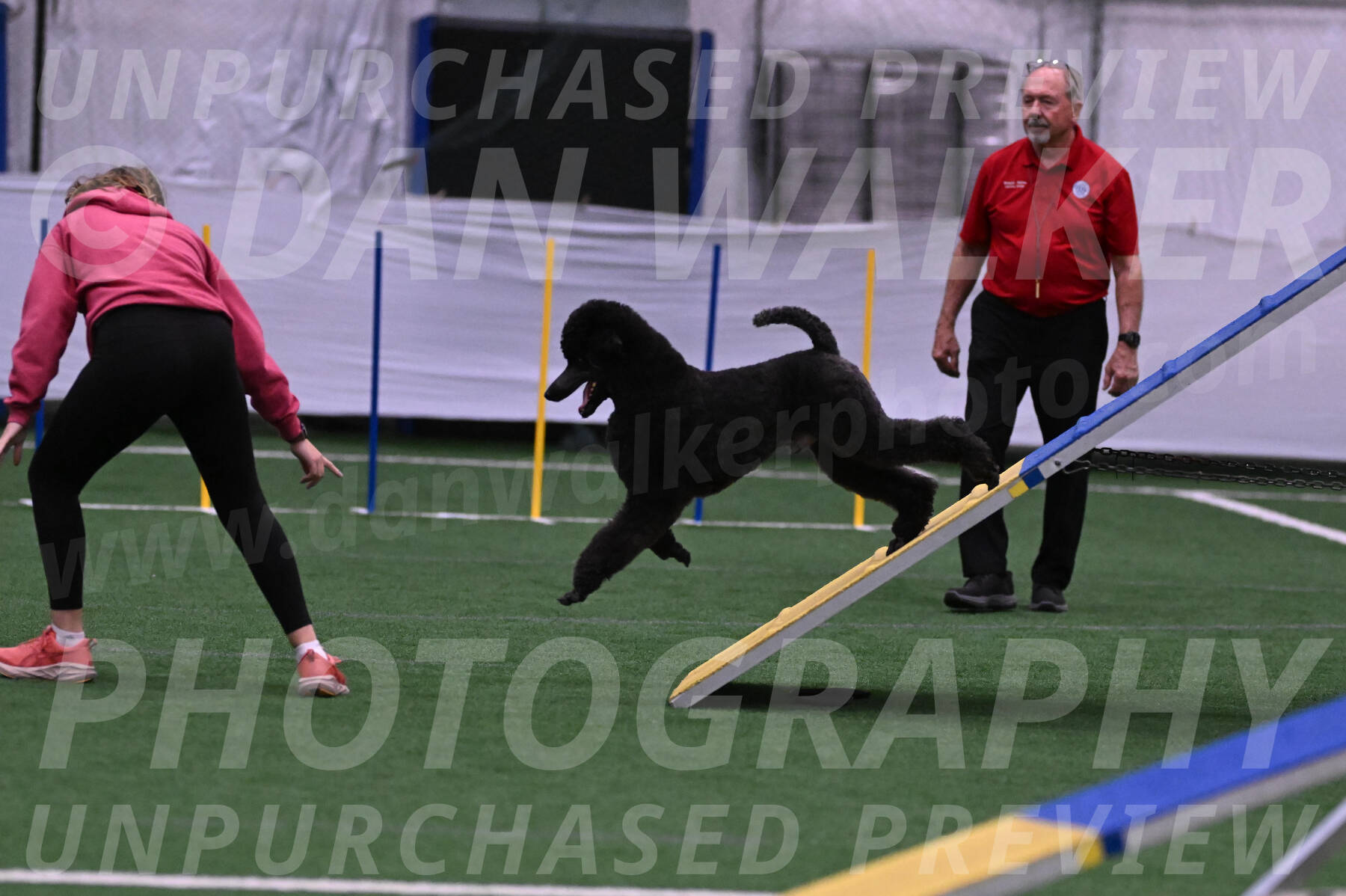 Finn-Madison-Canton-05477
