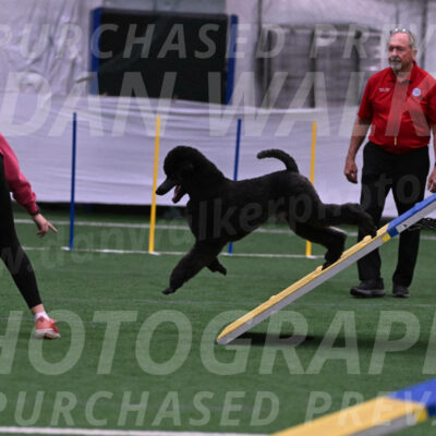 Finn-Madison-Canton-05477