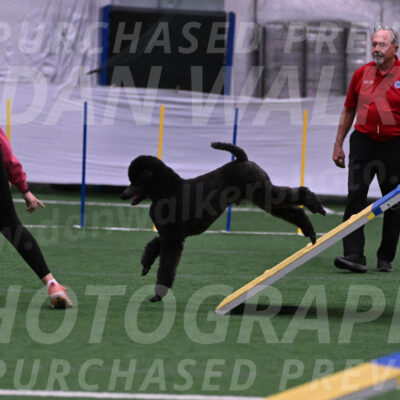 Finn-Madison-Canton-05478
