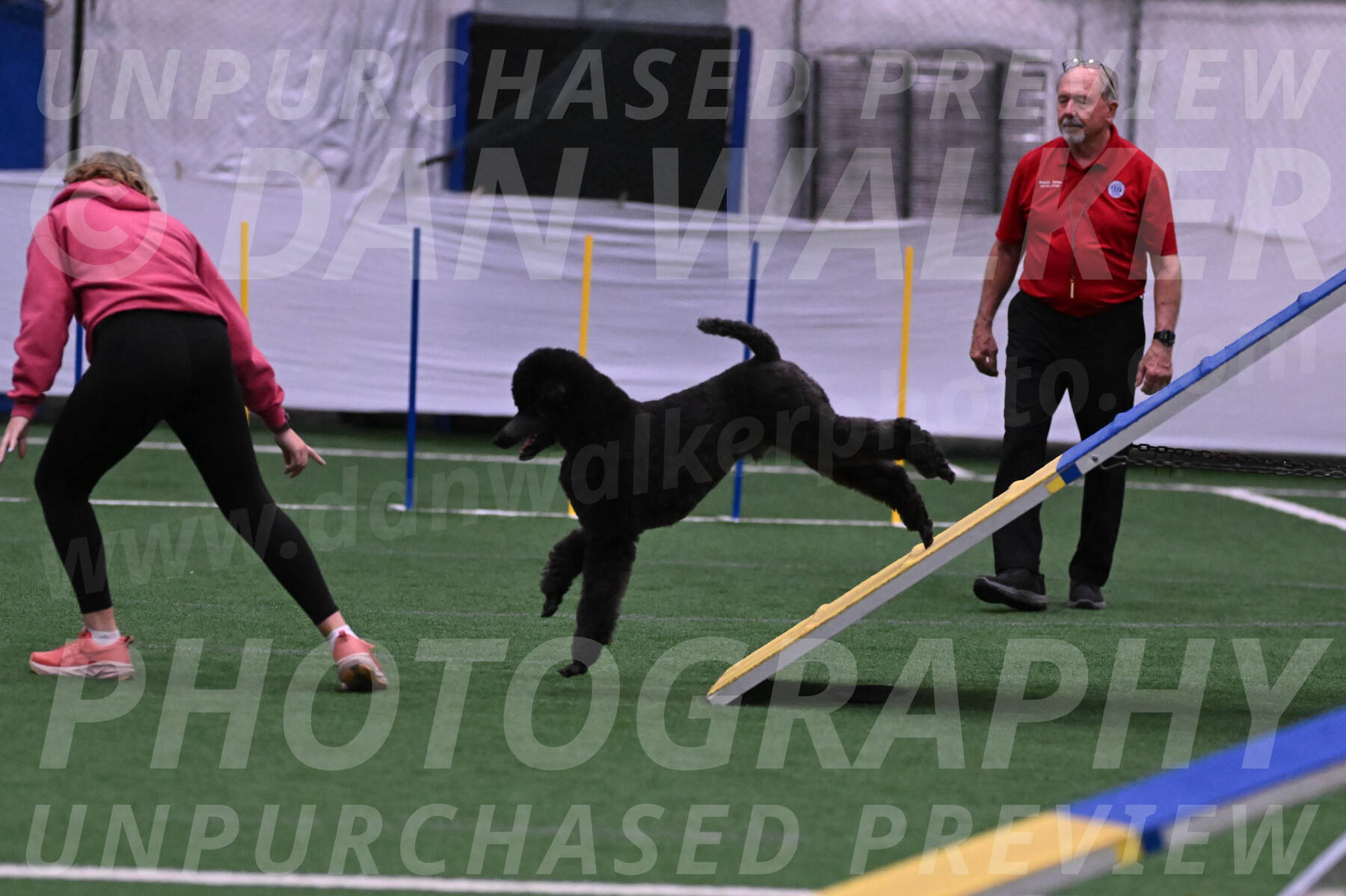 Finn-Madison-Canton-05478