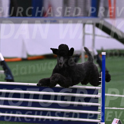 Finn-Madison-Canton-05485