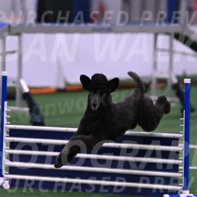 Finn-Madison-Canton-05486