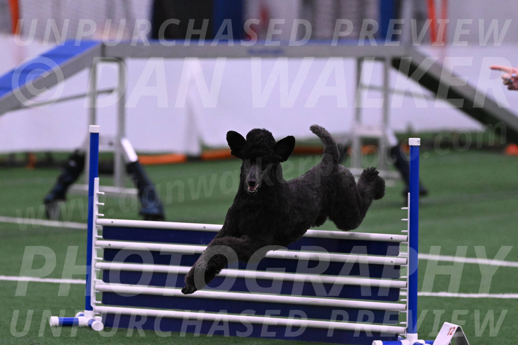Finn-Madison-Canton-05486