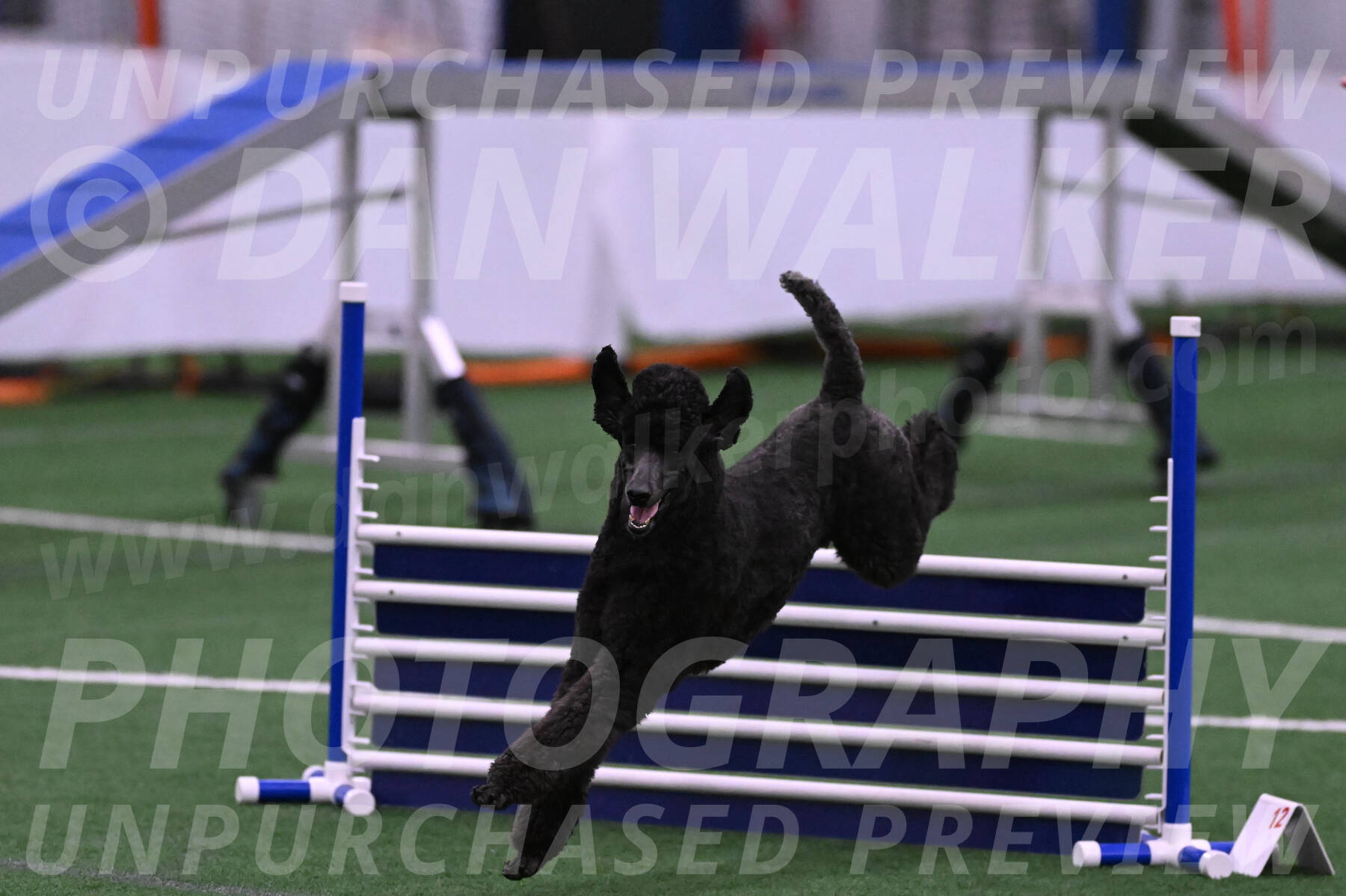 Finn-Madison-Canton-05487