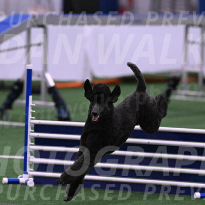 Finn-Madison-Canton-05487