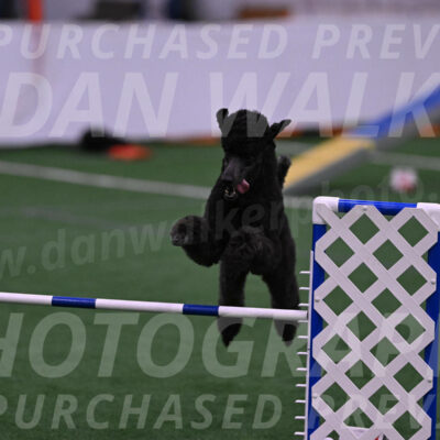 Finn-Madison-Canton-05491