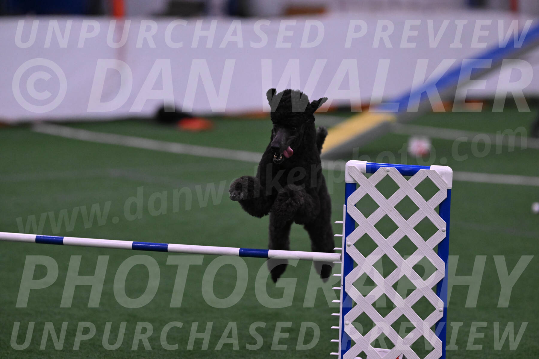 Finn-Madison-Canton-05491