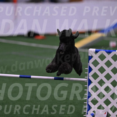Finn-Madison-Canton-05492