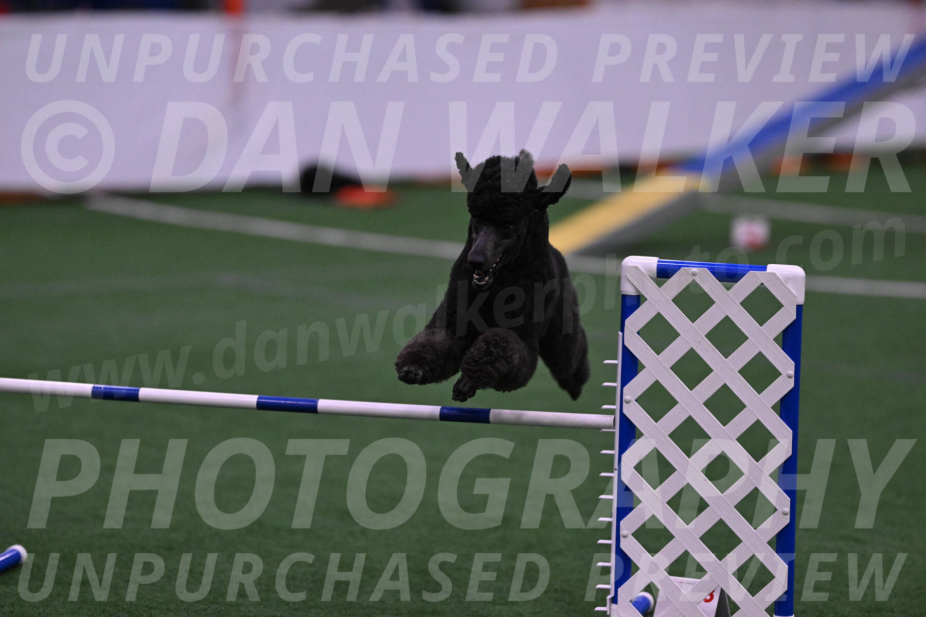 Finn-Madison-Canton-05492