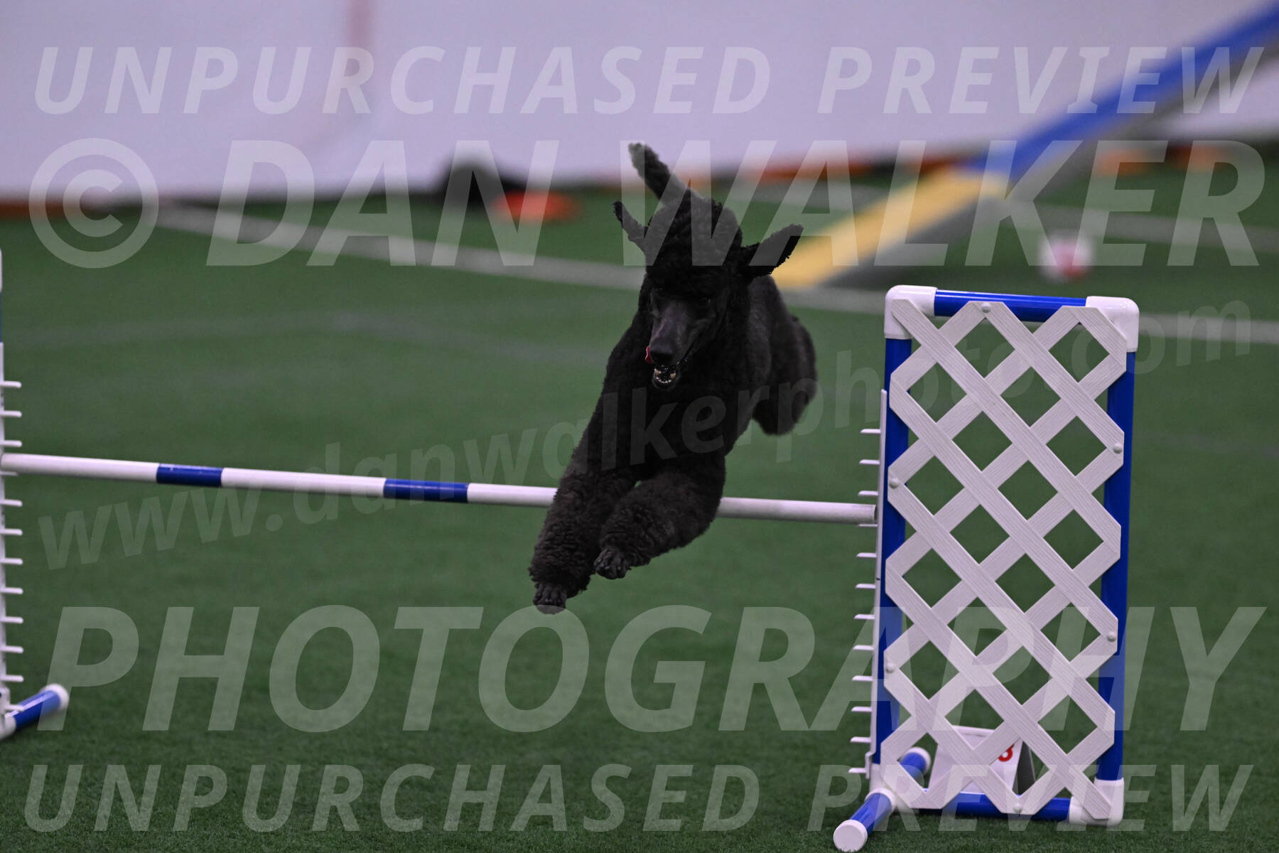 Finn-Madison-Canton-05493
