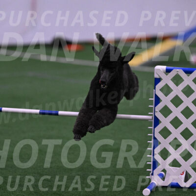 Finn-Madison-Canton-05493