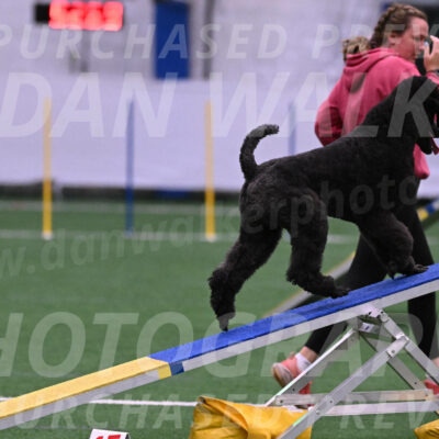 Finn-Madison-Canton-05495