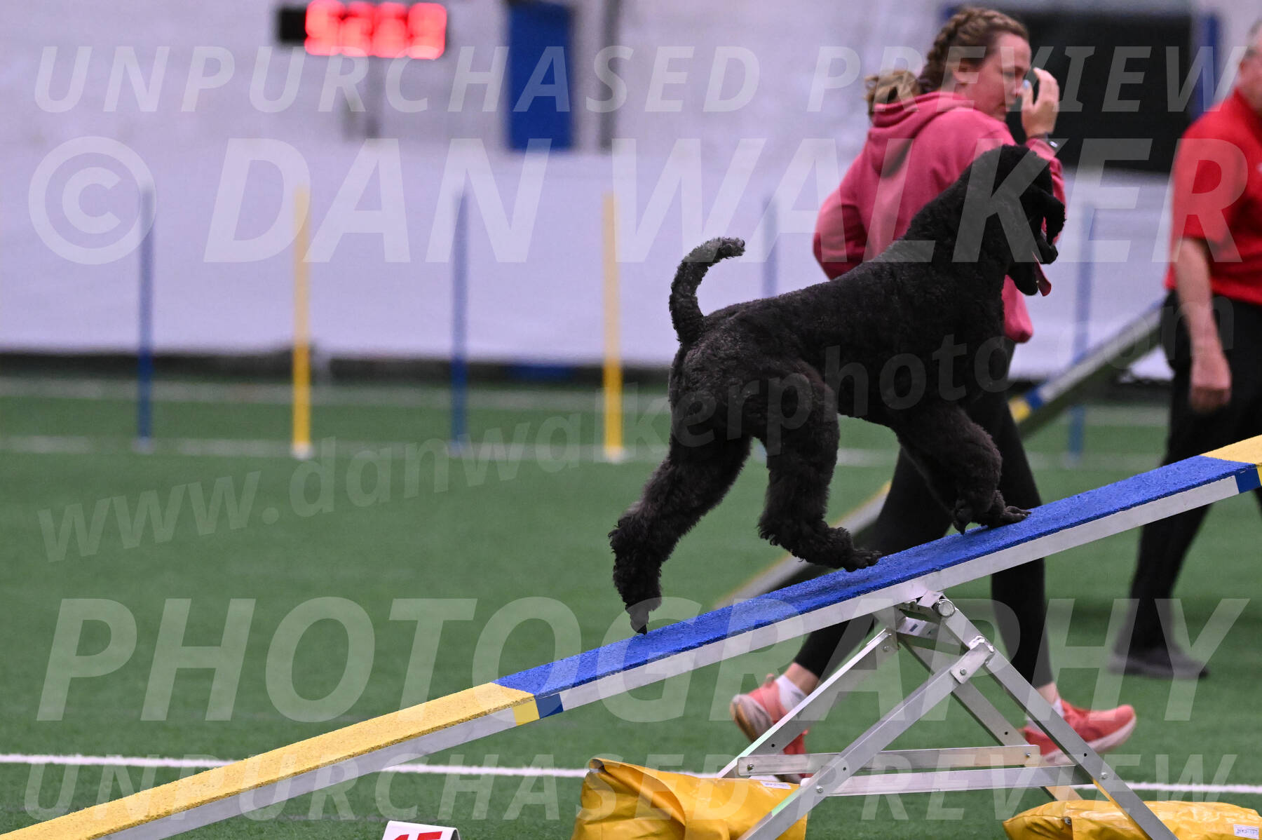 Finn-Madison-Canton-05495