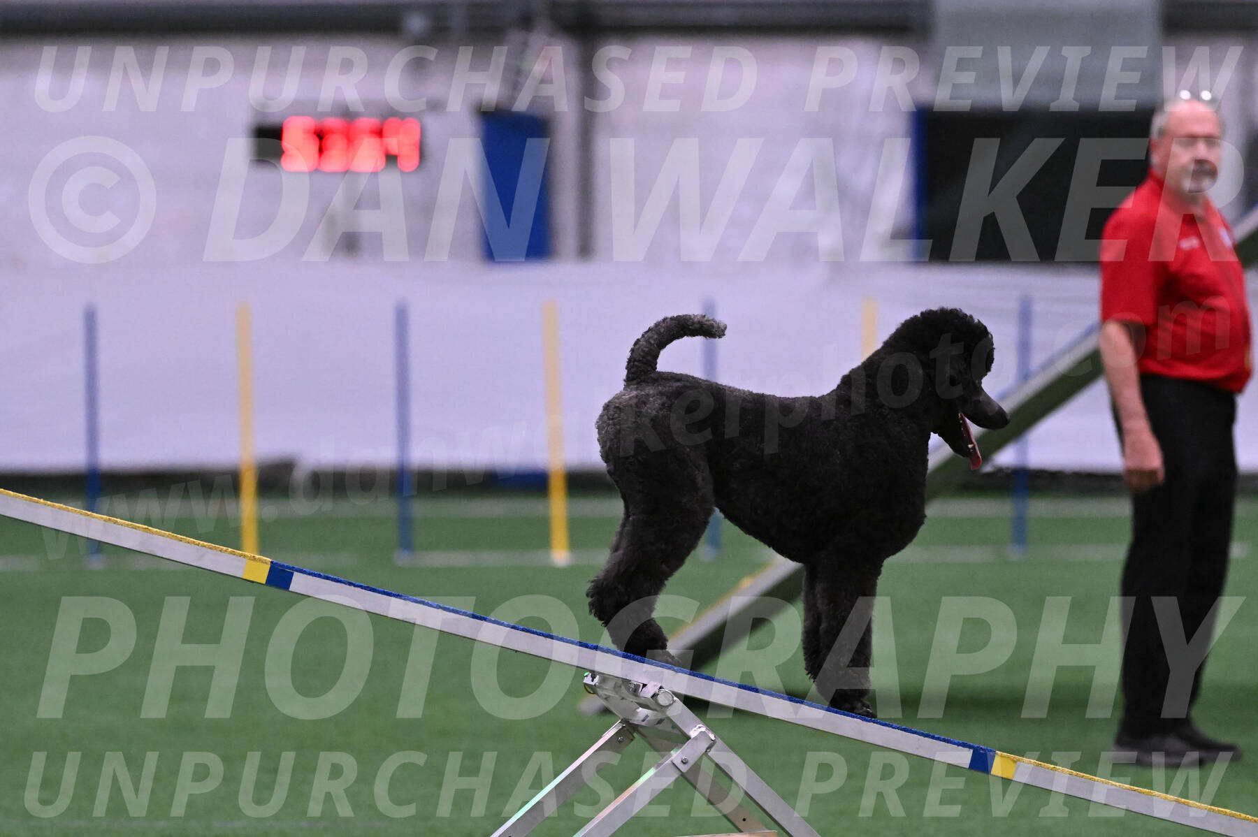 Finn-Madison-Canton-05501
