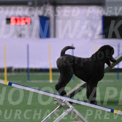 Finn-Madison-Canton-05501