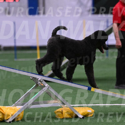 Finn-Madison-Canton-05504
