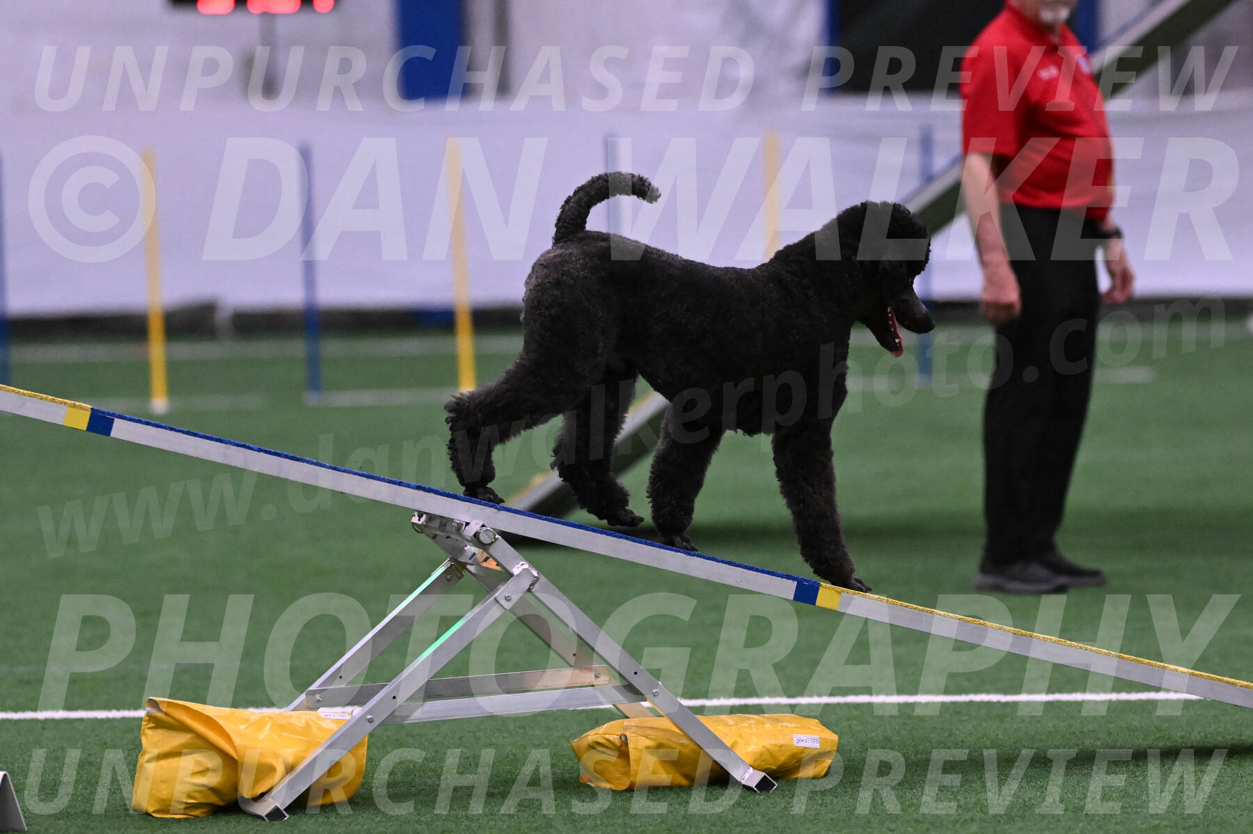 Finn-Madison-Canton-05504