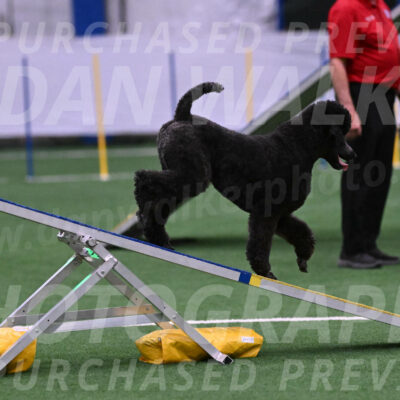 Finn-Madison-Canton-05507