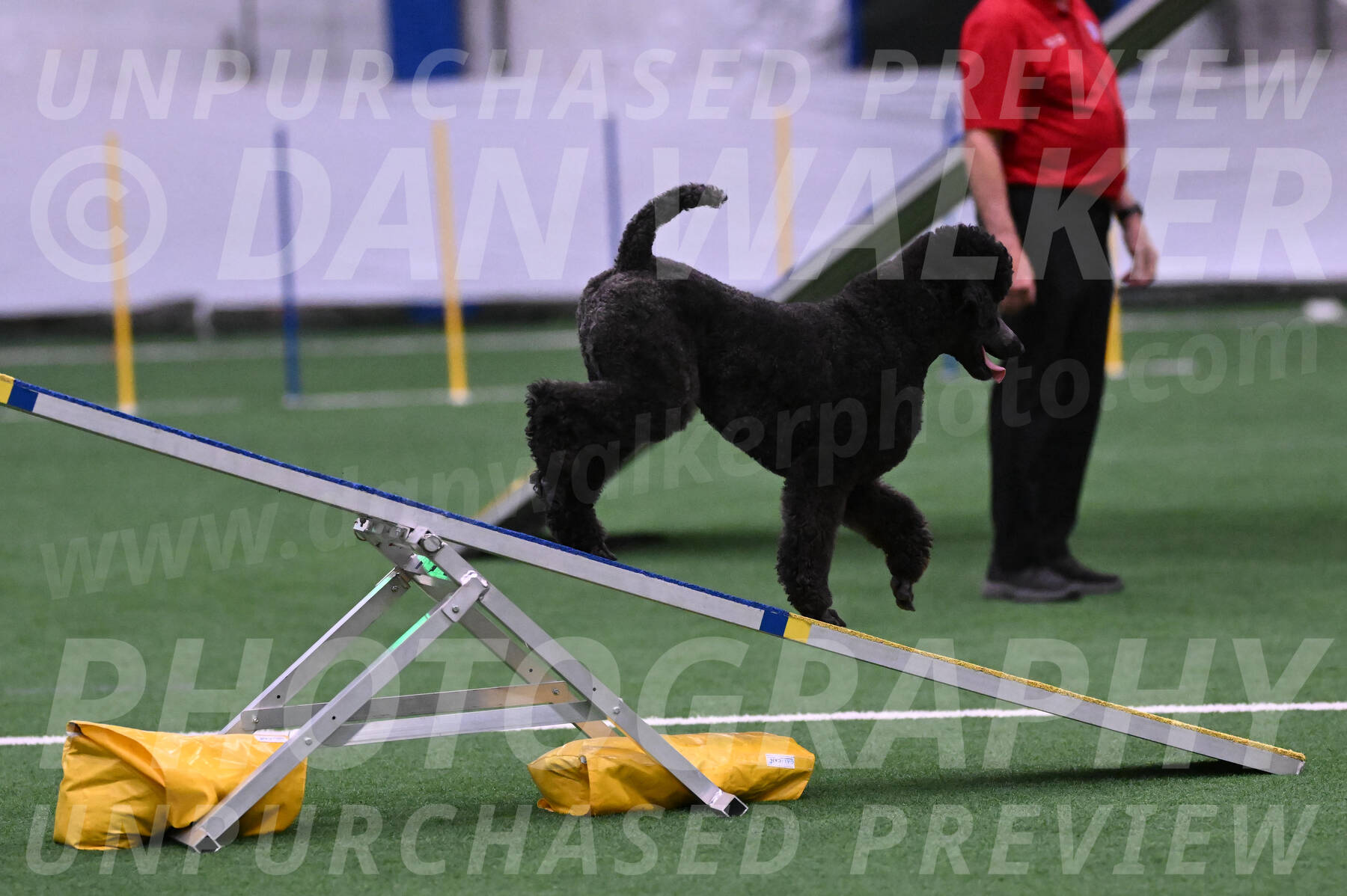 Finn-Madison-Canton-05507