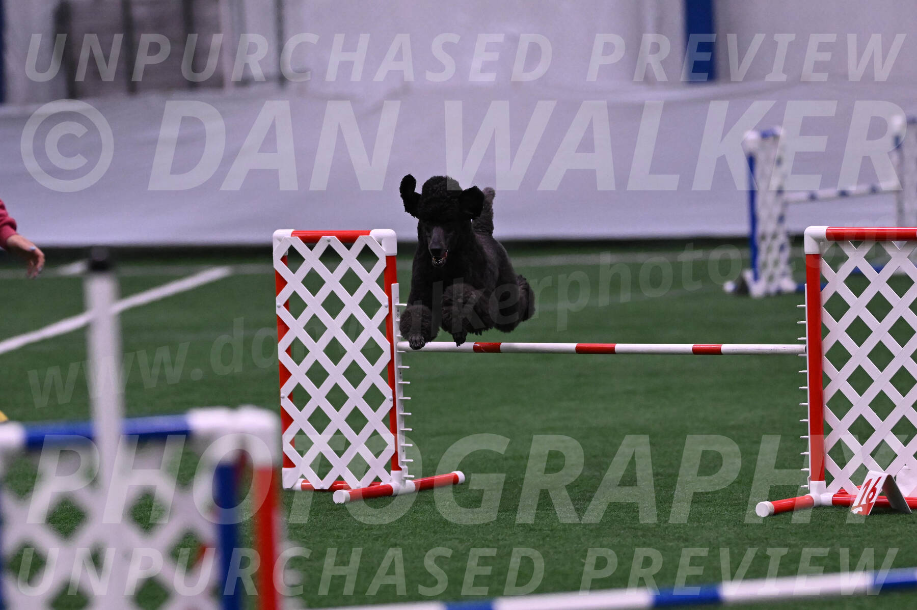 Finn-Madison-Canton-05510