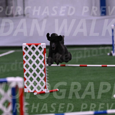 Finn-Madison-Canton-05510