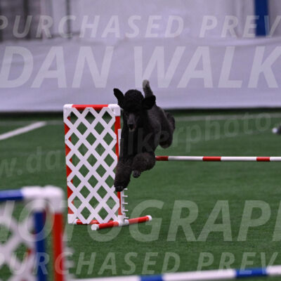 Finn-Madison-Canton-05511