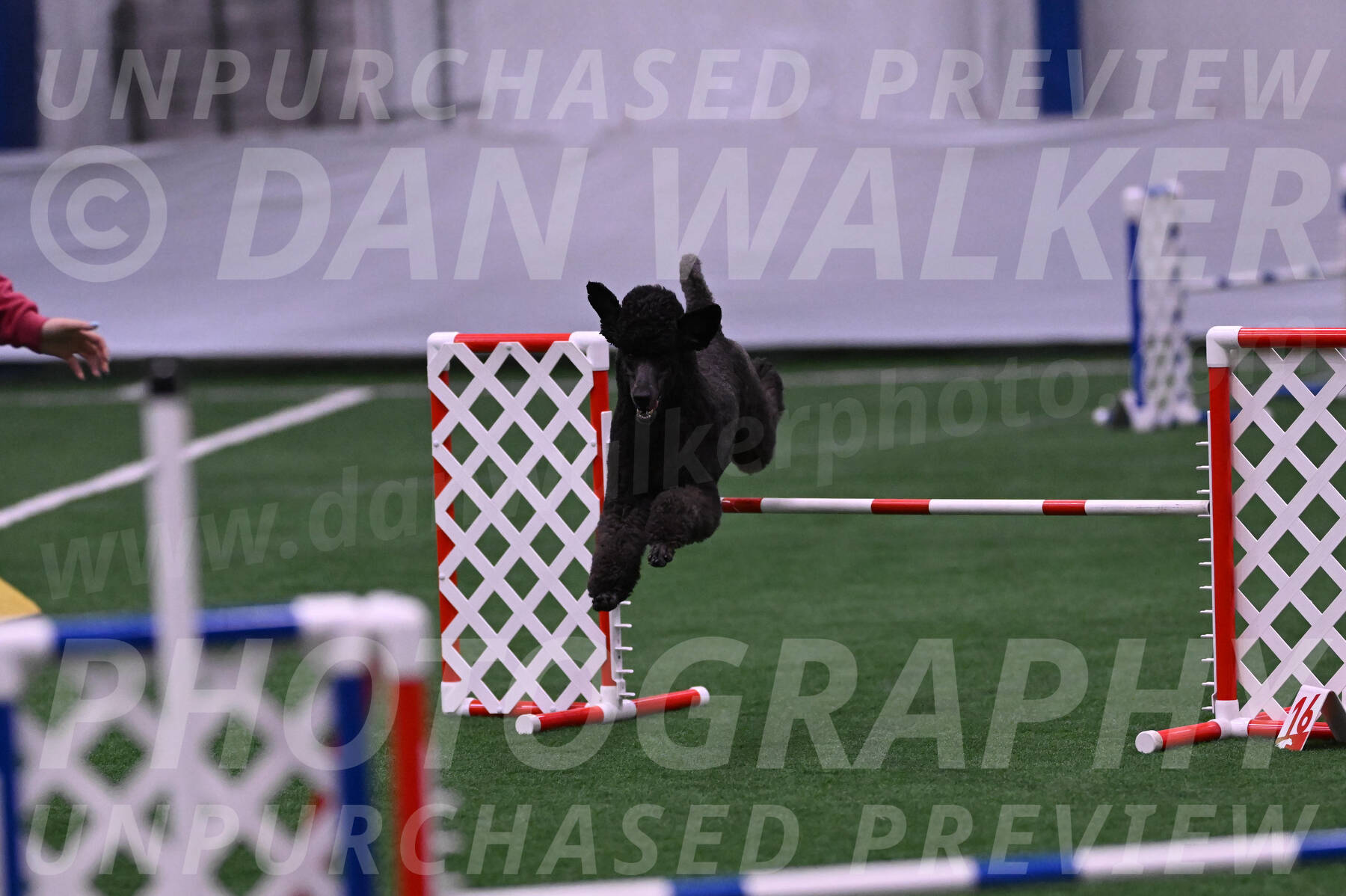 Finn-Madison-Canton-05511