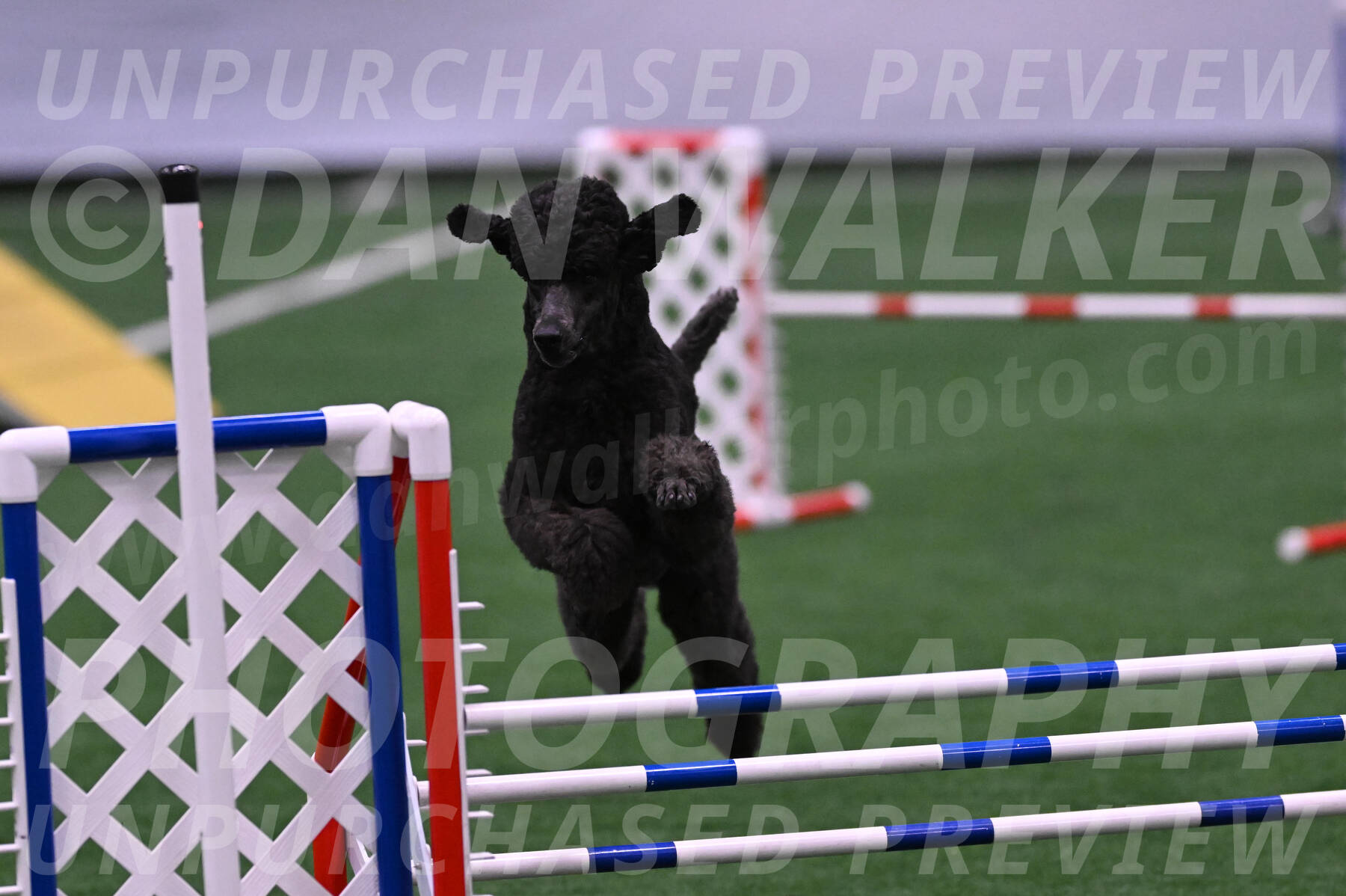 Finn-Madison-Canton-05512