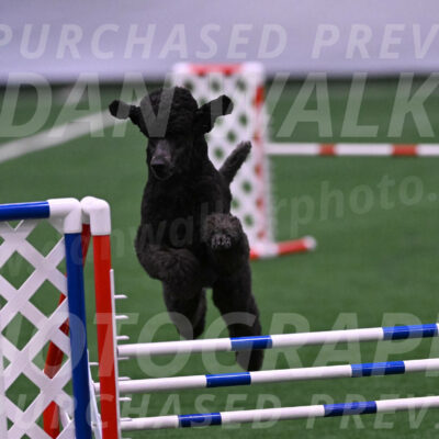 Finn-Madison-Canton-05512