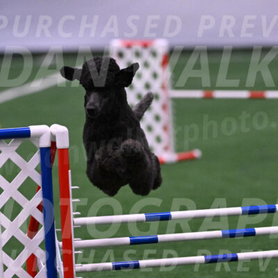 Finn-Madison-Canton-05513