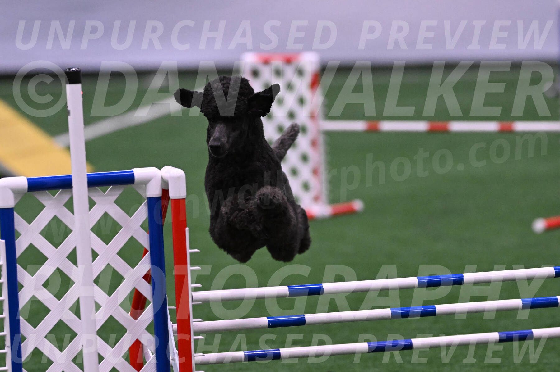 Finn-Madison-Canton-05513