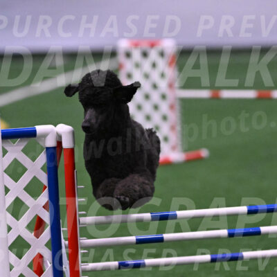 Finn-Madison-Canton-05514