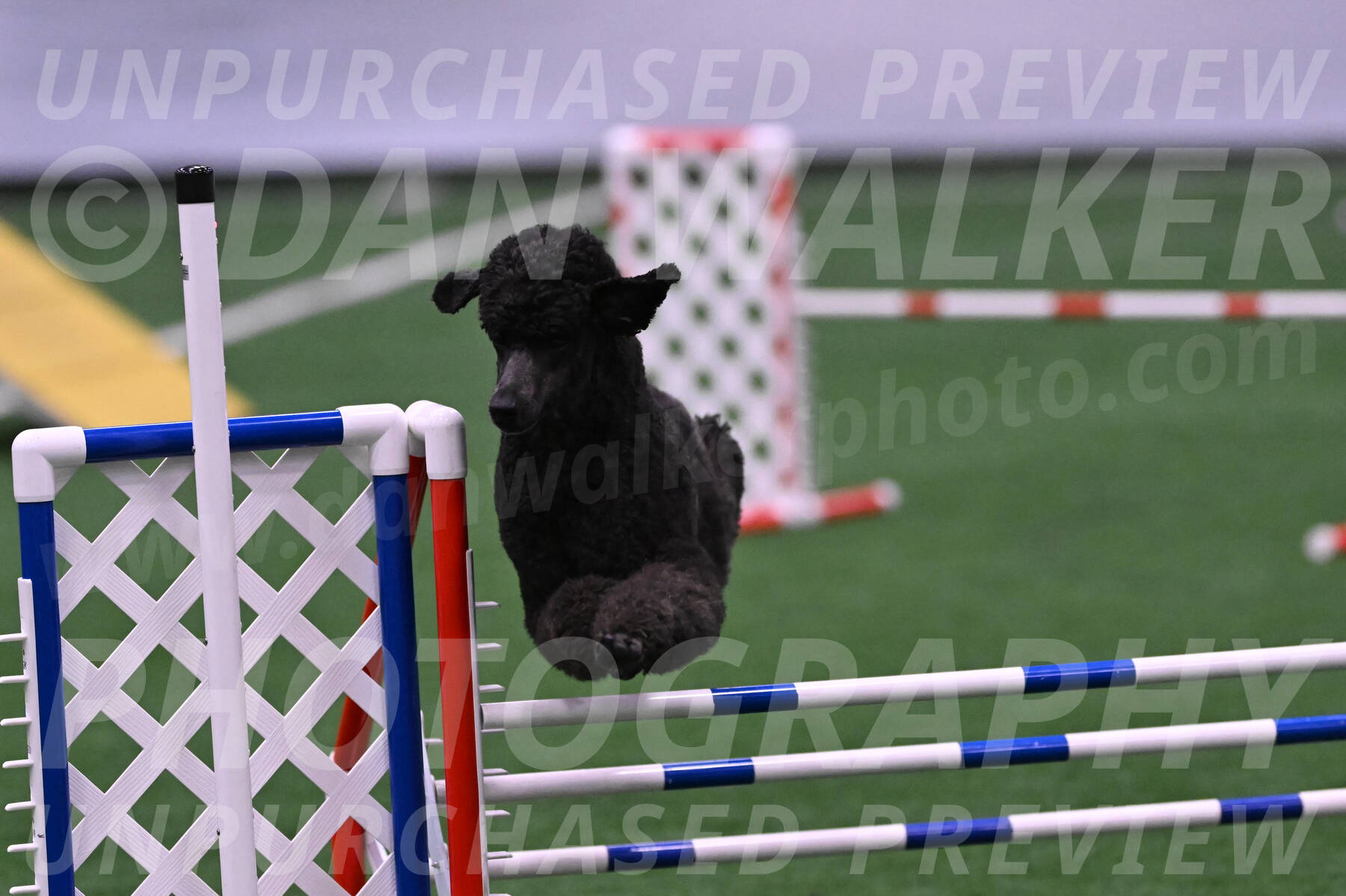 Finn-Madison-Canton-05514