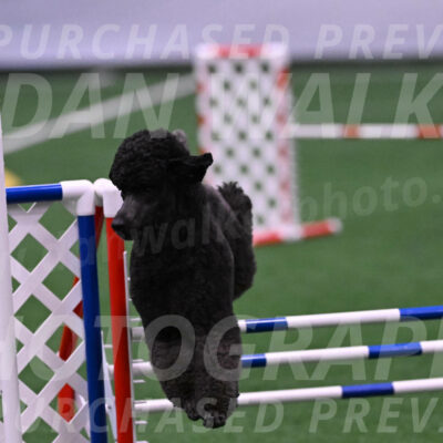 Finn-Madison-Canton-05515