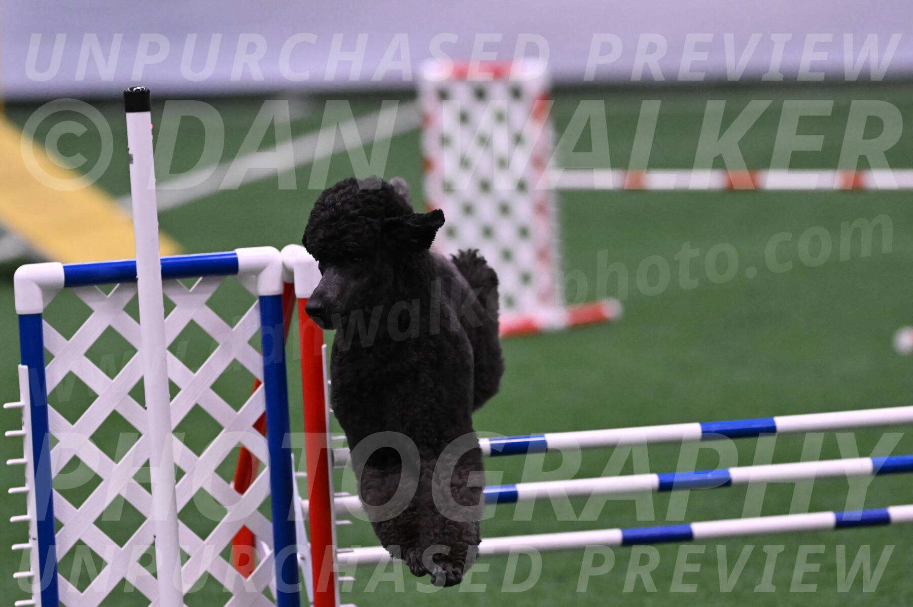 Finn-Madison-Canton-05515