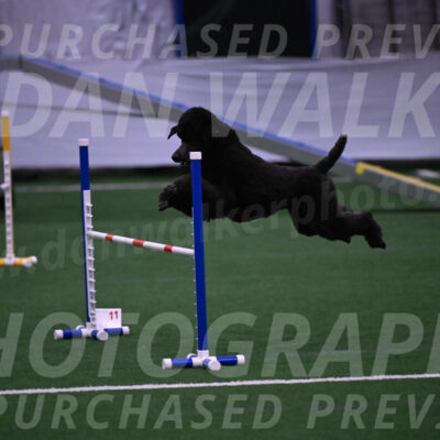 Finn-Madison-Canton-05516