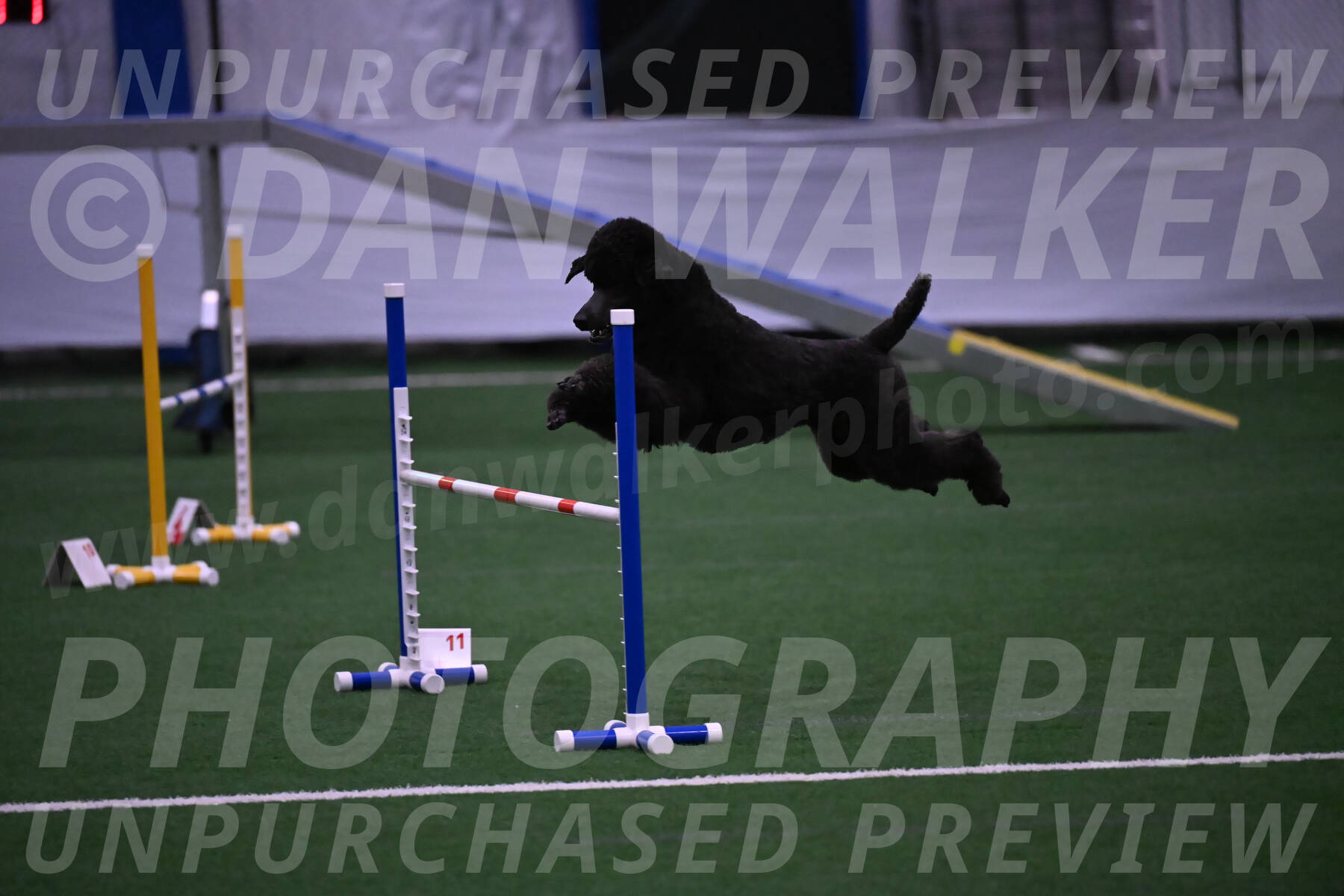 Finn-Madison-Canton-05516