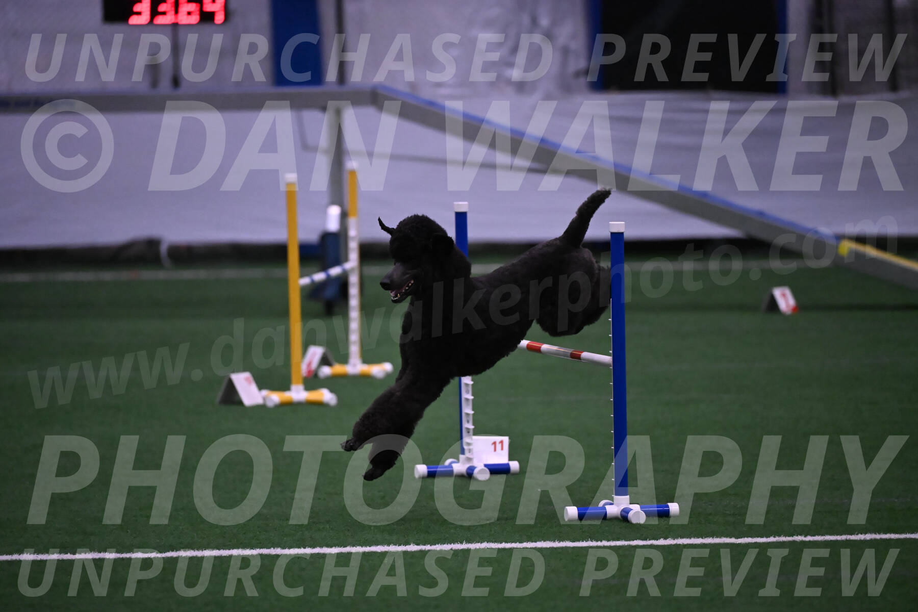 Finn-Madison-Canton-05519
